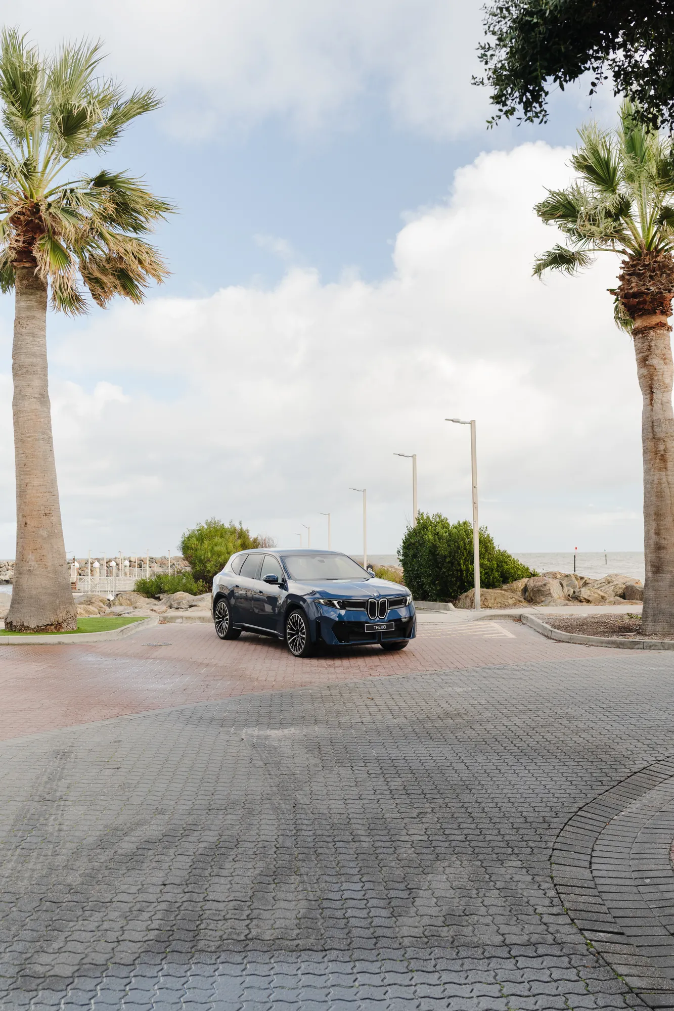 A dark BMW SUV parked on a paved forecourt lined with palm trees