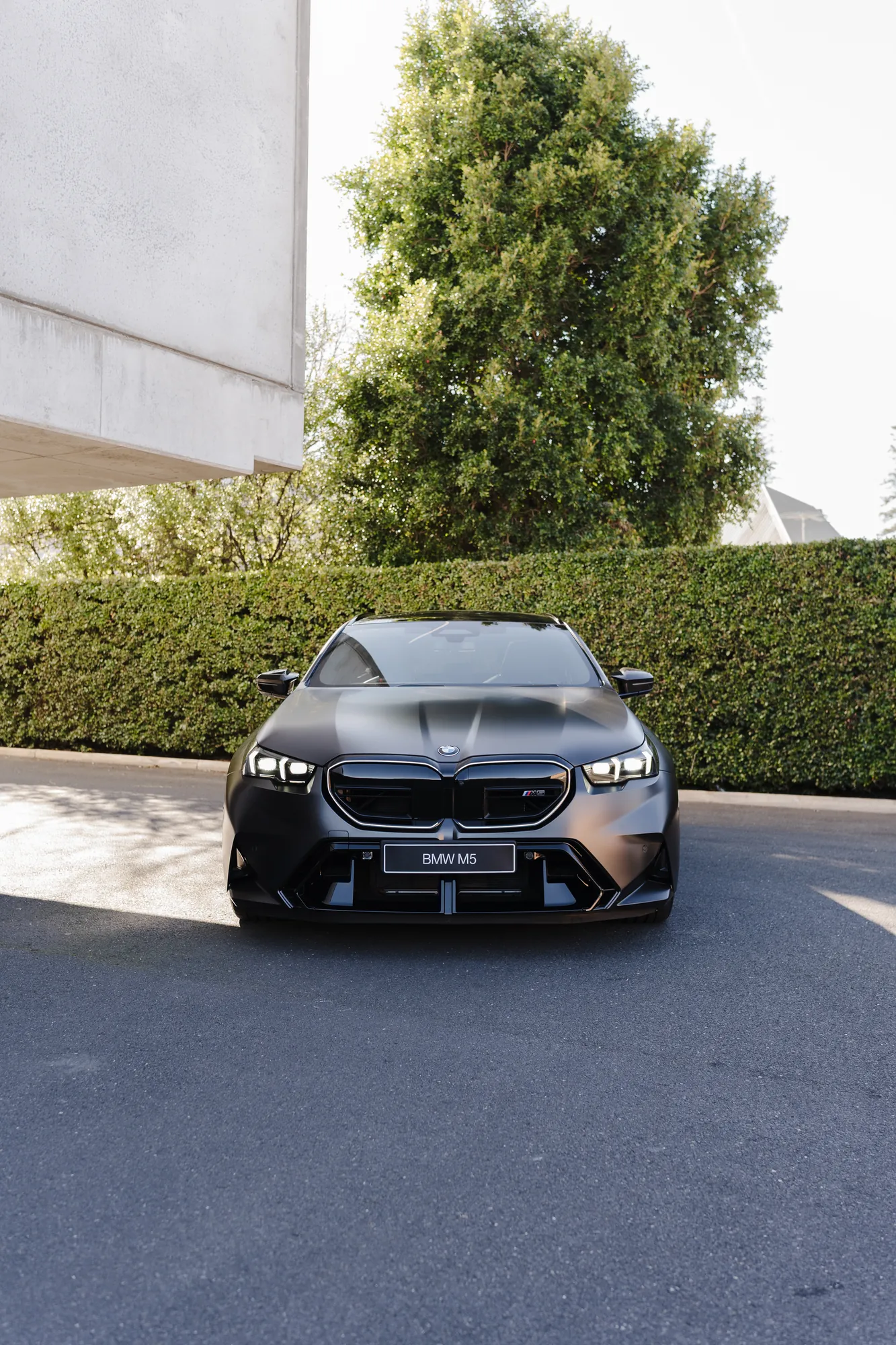 A dark BMW sedan photographed head-on beside a clipped hedge