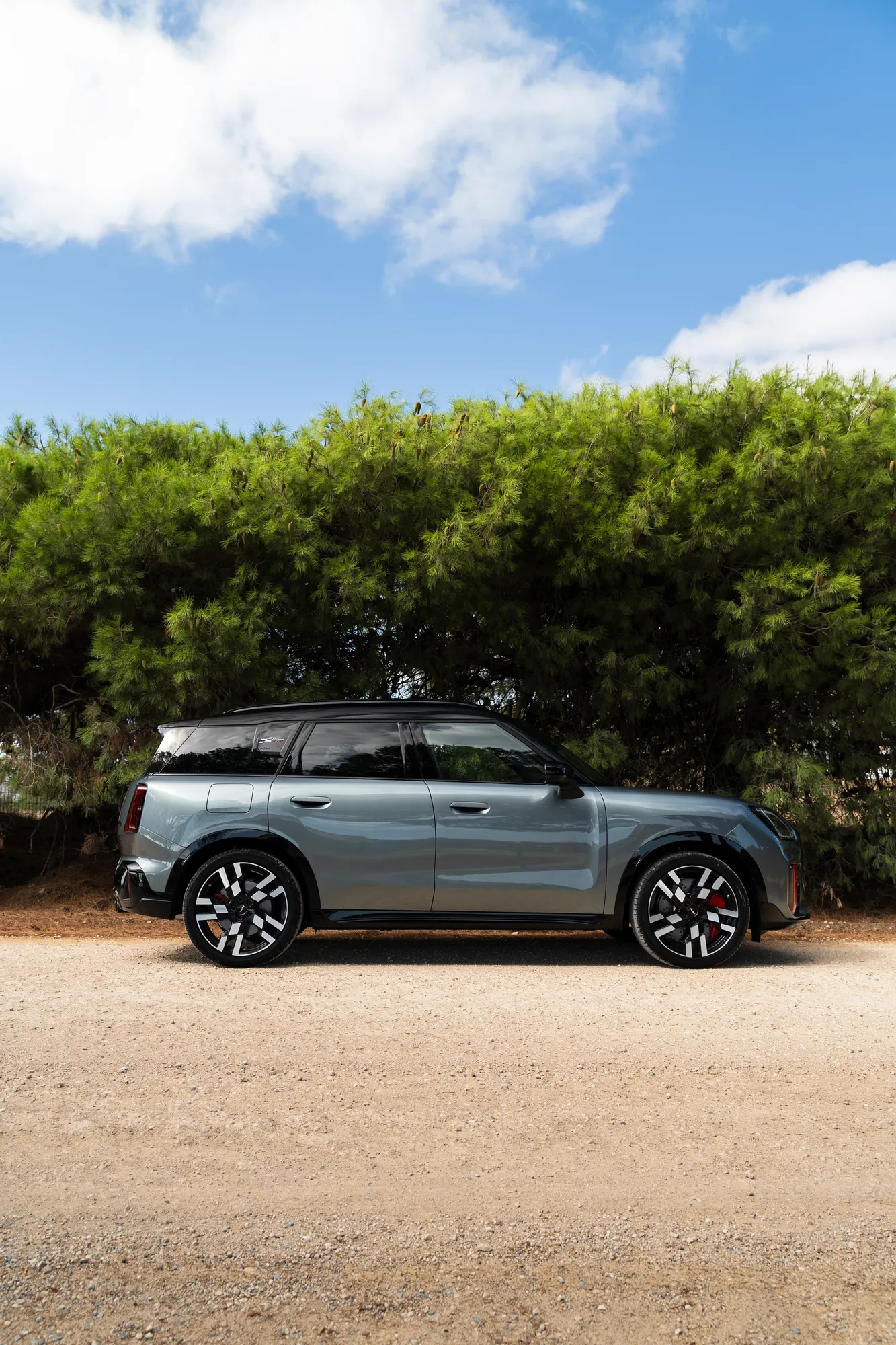 A silver MINI Countryman side-on against coastal scrub