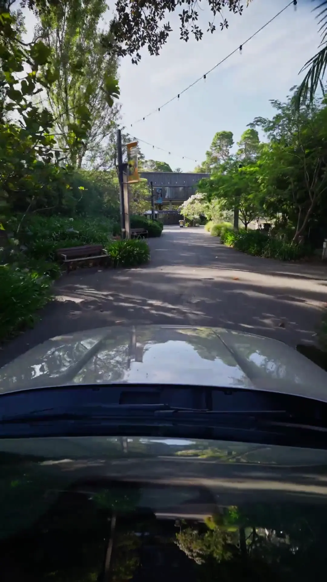 A driver’s view over the bonnet down a tree lined driveway, from a Jarvis vehicle feature Reel