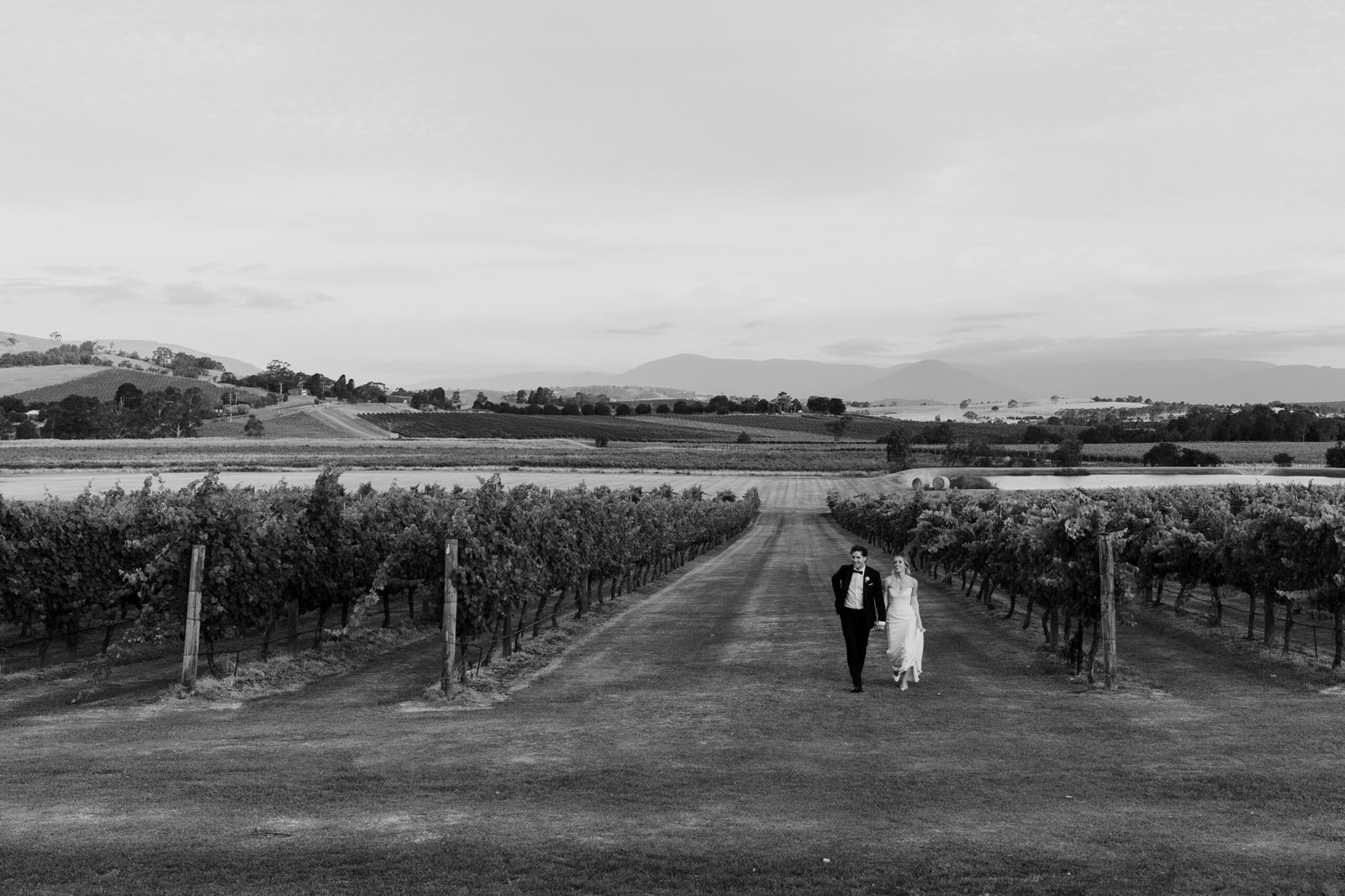 weddings