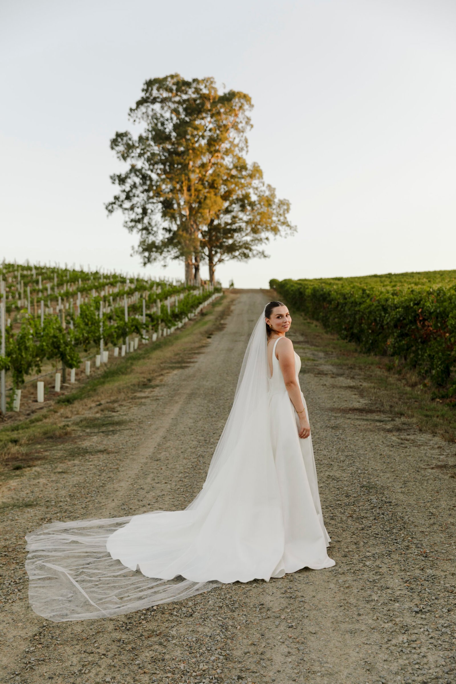 Adelaide weddings